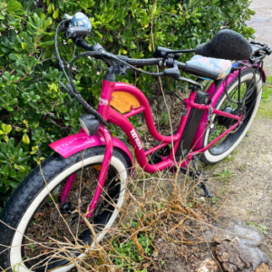 Lire la suite à propos de l’article Le magnifique Town Cruiser de Carole a retrouvé du mordant
