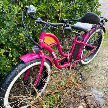 Lire la suite à propos de l’article Le magnifique Town Cruiser de Carole a retrouvé du mordant